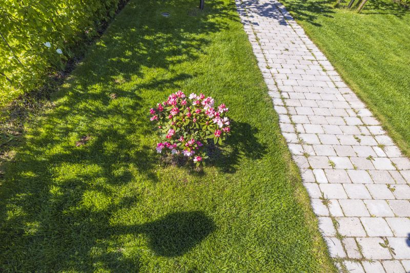 Residential Paving Service